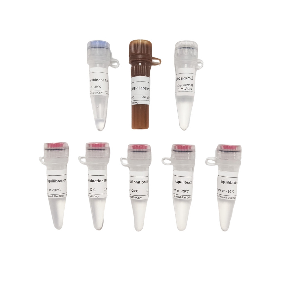 CF640 Tunel Cell Apoptosis Detection Kit