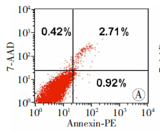 細(xì)胞凋亡檢測(cè)